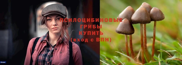 тгк Балабаново