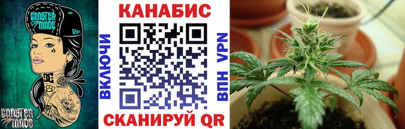 Канабис индика  Галич 